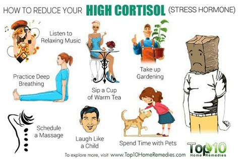pin by audrey herman on holistic home remedies high cortisol cortisol how to lower cortisol