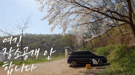 서울근교 차크닉 장소 놀이동산 벚꽃길 데이트코스 Youtube