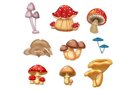 Mushrooms Vector Set 742182