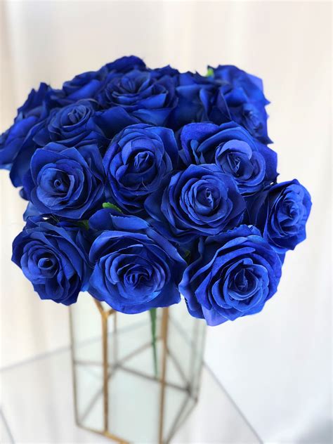 Dark Blue Roses Ubicaciondepersonascdmxgobmx