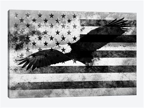 Usa Melting Film Flag In Black And White Bald Eagle Icanvas Icanvas