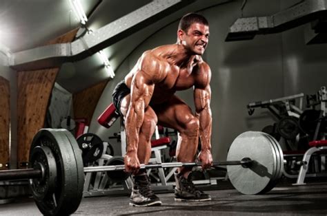 Are Heavy Weights Necessary For Maximizing Muscle Growth Ironmag Bodybuilding And Fitness Blog