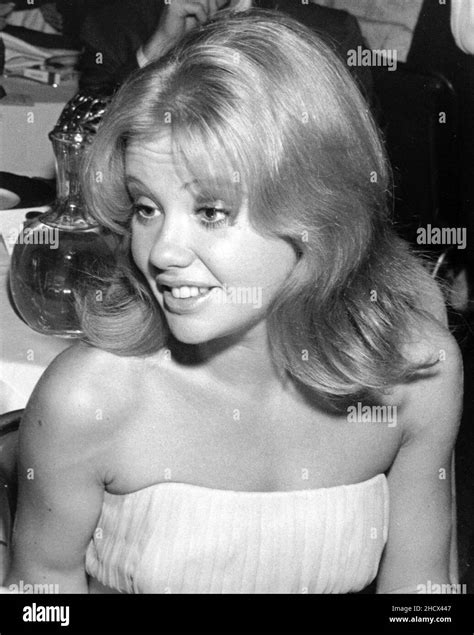 Hayley Mills Circa 1960s Credit Ralph Dominguezmediapunch Stock