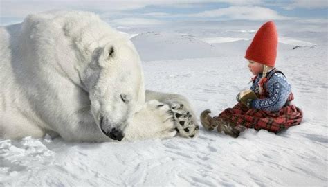 Little Gnome Girl And Polar Bear Scandiland Pinterest
