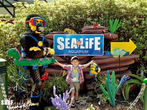 Sea Life Aquarium Legoland A Wondrous Discovery Surf And Sunshine