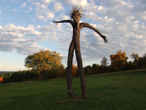 Amazing Tree Sculptures And Environmental Arts