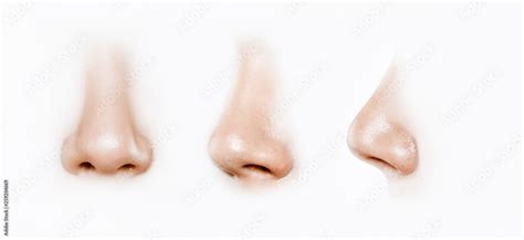 Human Nose Reference Images Stock Photo Adobe Stock