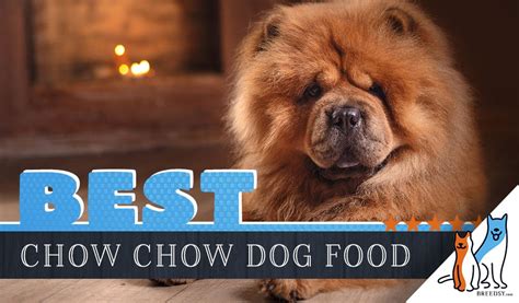 Although deciding which food to use can be a challenge, hopefully the list above has got you pointed in the right direction! 11 Best Chow Chow Dog Foods Plus Top Brands for Puppies ...