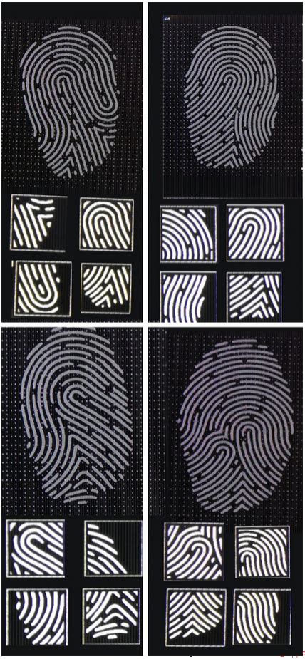 Fingerprint Scanner / Keypad Cracker - GTA Online - GTAForums