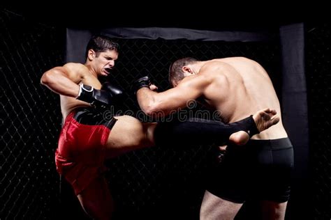 mma stock image image of athletic boxing muscle people 16312935