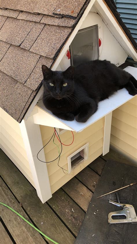 Stray and feral cats can often find it difficult to find warm and safe places to sleep, especially during the winter months. Stray cat shelter monitor and control - Projects made with ...
