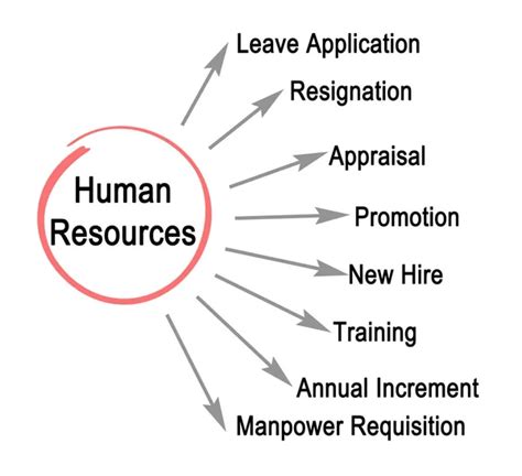 Diagram Of Human Resource Strategy Stock Photo By ©vaeenma 128598806