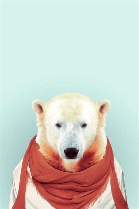 Polar Bear Background Pet Portraits Photography Pet