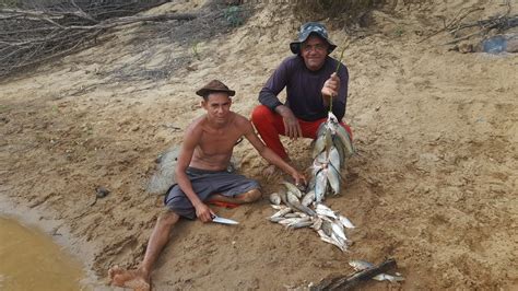 Pescaria De Sardinha E Acampamento Rafael Filho Da Ro A Youtube