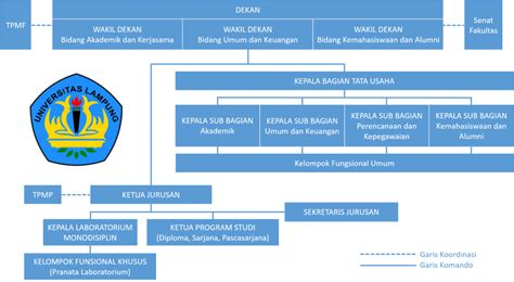 Bagan Struktur Organisasi FMIPA Unila Struktur Organisasi Universitas Ilmu Pengetahuan Alam
