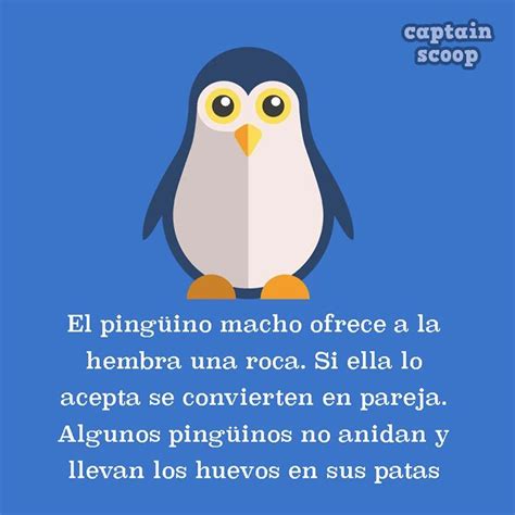 15 datos curiosos sobre animales que seguramente no conocías Datos