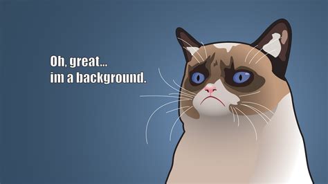 Grumpy Cat Oh Great Im A Background Hd Wallpaper Hintergrund