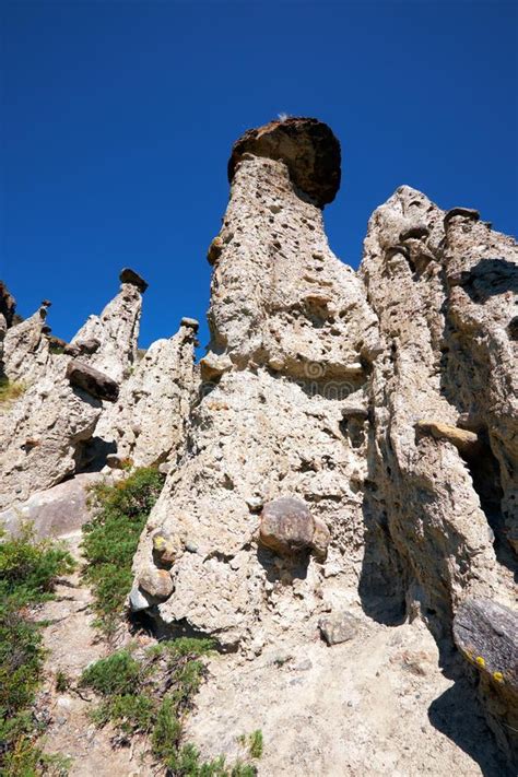 Nature Phenomenon Stone Mushrooms In Altai Mountains Near River Stock