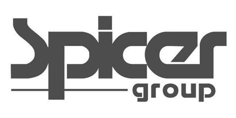 Spicer Group Emerging Industry Professionals
