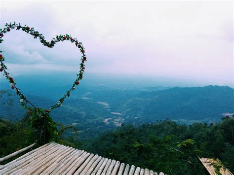 Sekian dulu ya cerita jalan jalan ke kebun teh nglinggo. Kebun Teh Nglinggo, Samigaluh, Kulon Progo, Yogyakarta ...
