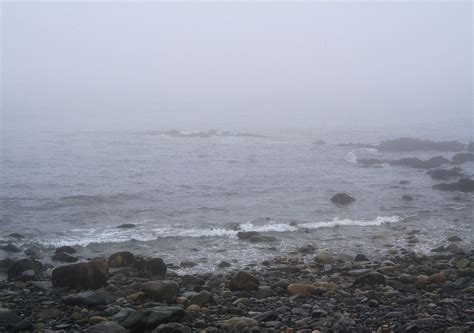 Ocean Rocks In Fog Free Stock Photo Public Domain Pictures