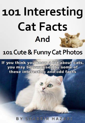 101 Interesting Cat Facts And 101 Cute And Funny Cat Photos If You