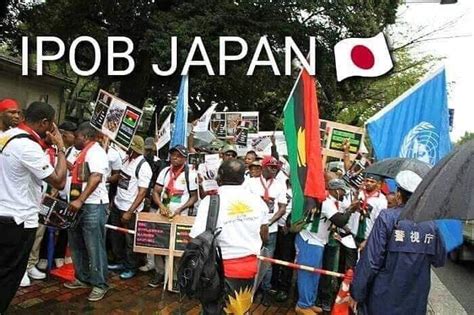 Browse naija news's complete collection of articles and commentary on ipob in nigeria and the world. See photos of IPOB members waiting for President Buhari to ...
