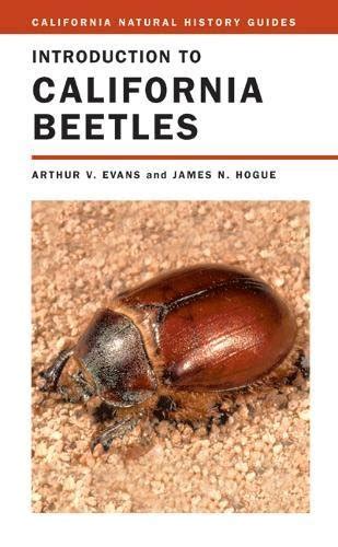 introduction to california beetles california natural history guides by arthur v evans james