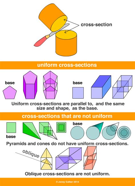 Cross Section A Maths Dictionary For Kids Quick Reference By Jenny Eather