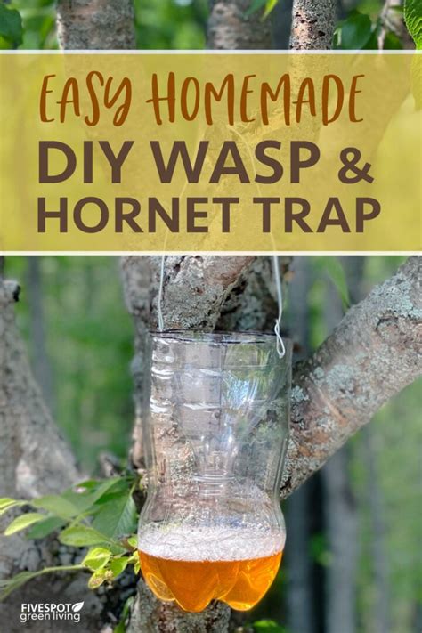 Easy Diy Wasp Trap Five Spot Green Living