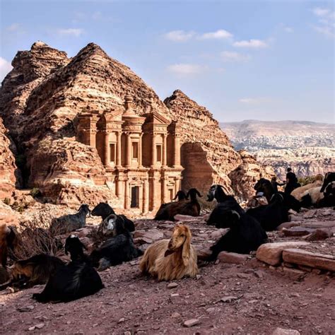 Goats In Petra The City Of Mysteries In Jordan 📷 Taken By