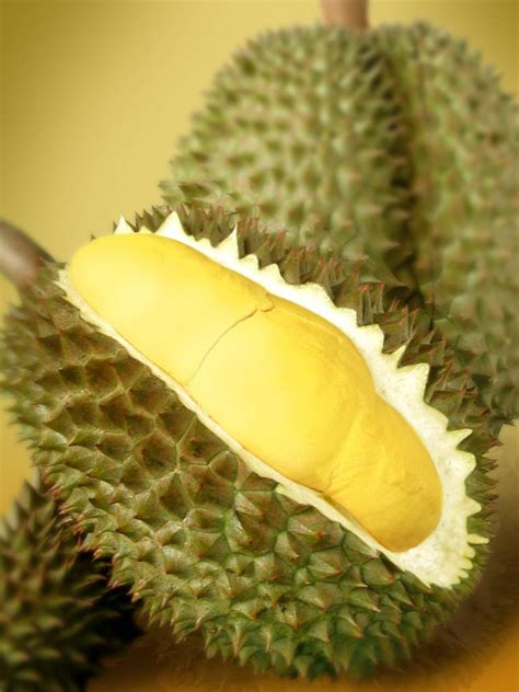 Durian - owoc śmierdzący jak zwłoki, czyli 