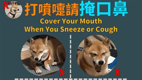 Manage your video collection and share your thoughts. 台湾が新型コロナウイルス予防キャンペーンに起用した「柴犬 ...