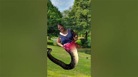 Anaconda Youtube