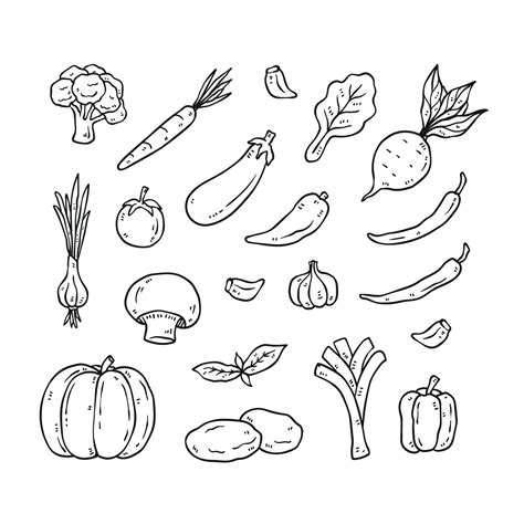 Set Of Hand Drawn Vegetable Outline Icons Healthy Food Doodles