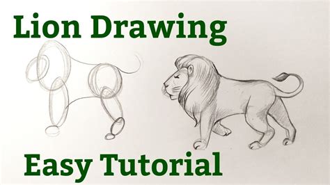 Beginner Easy Sketches Animals Pic Zit
