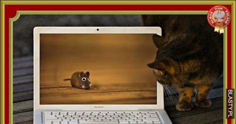 Maybe you would like to learn more about one of these? MYSZKA memy, gify i śmieszne obrazki facebook, tapety ...