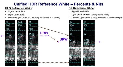 Videoq Hdr Reference White