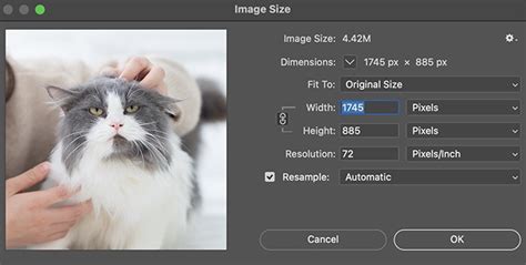 How To Resize Image In Photoshop 4 Quick Ways