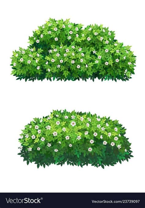 Modern Design Paint Bushes Bush Drawing Bush With White Flowers