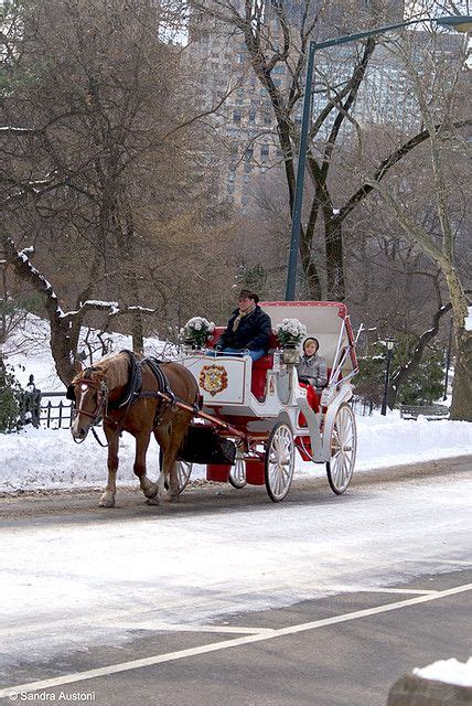 Horse Carriage Ride In Central Park New York City Horse Carriage