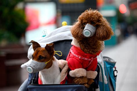 Maybe you would like to learn more about one of these? Coronavirus news and live updates: South Korea cases pass ...