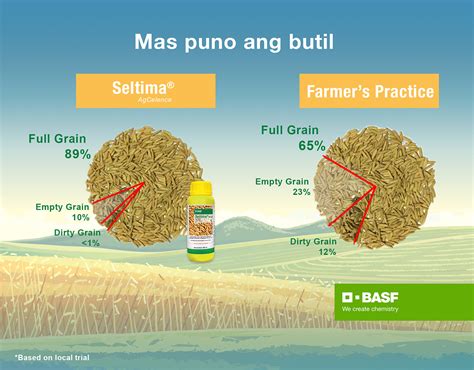 Seltima® Fungicide For Rice Basf Crop Protection Philippines