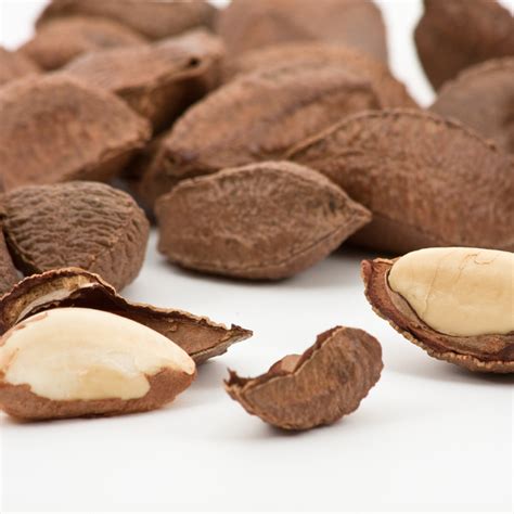 Raw Organic Brazil Nuts Nuthut