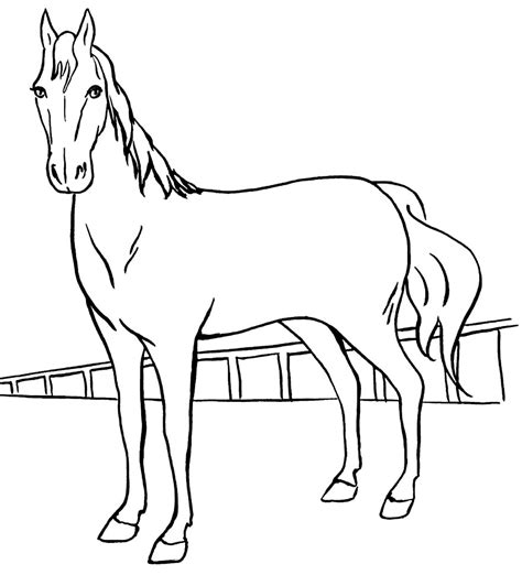Cavalo Desenho Para Colorir