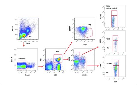 representative flow cytometry gating strategy for identification of download scientific