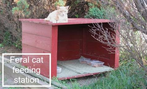 The unit has two stainless steel bowls that are scratch resistant, with a 1 ½ cup capacity of dry food. Why should people stop feeding feral cats? - PoC