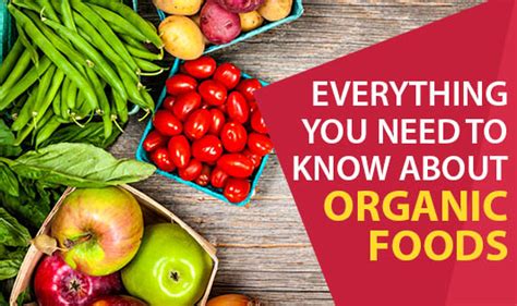 Everything You Need To Know About Organic Foods On The Wellness Corner