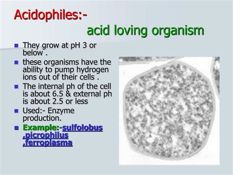 Ppt Topic General Characteristics Of Extremophiles Powerpoint