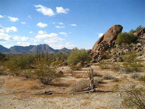 10 datos asombrosos del Desierto de Sonora - Sonora Star